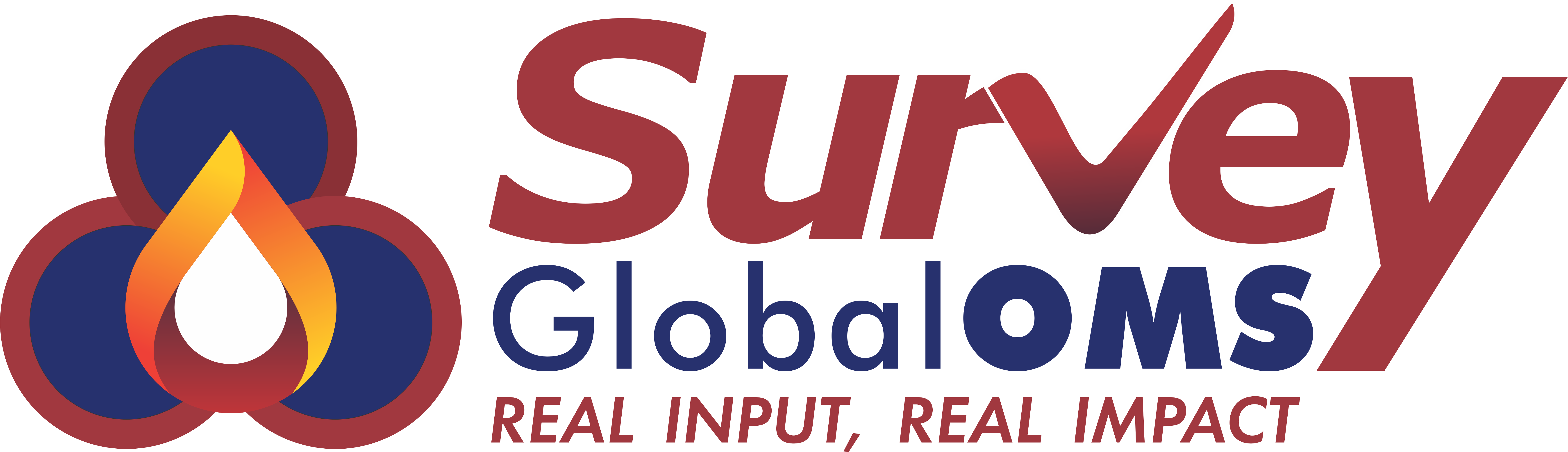 Survey GlobalOMS
